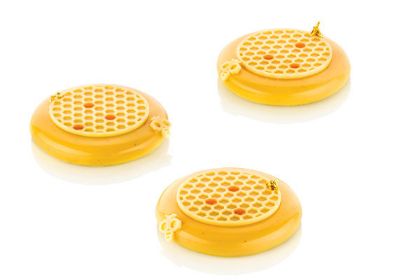 Obrázek SILIKONOVÁ FORMA - ALVÉOLÉ 3