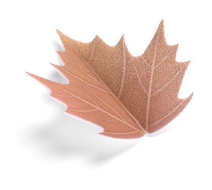 Obrázek WAFER AUTUMN LEAVES (4MOD) (336ks)