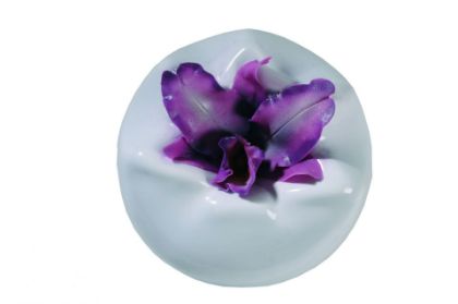 Obrázek FORMA NA 40-W009, W0044, W006, W030