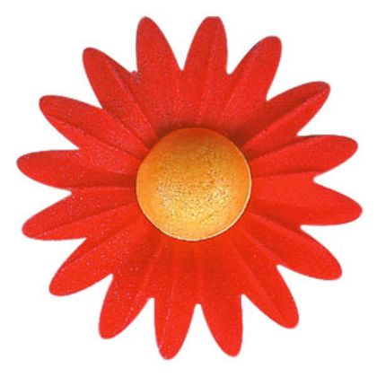 Obrázek RED DAISY