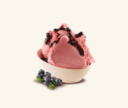 Obrázek VARIEGATO MIRTILLO AMORDIFRUTTA 2 x 3,5  kg (S)