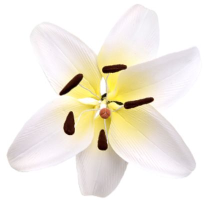 Obrázek NUANCED LILY BRANCH