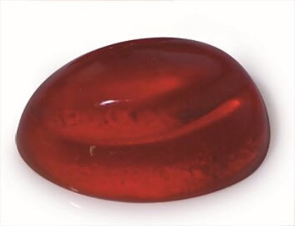 Obrázek FORMA SG 09