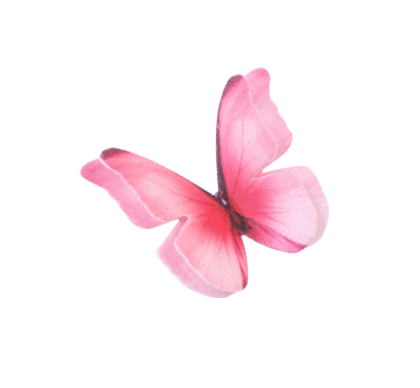 Obrázek WAFER 3D BUTTERFLY (6MOD) (72ks)