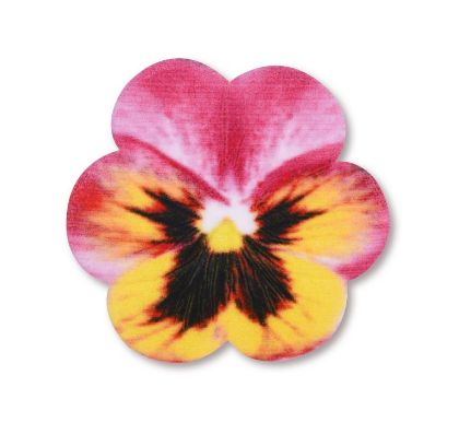 Obrázek SUGAR PANSIES (10MOD) (100 ks)