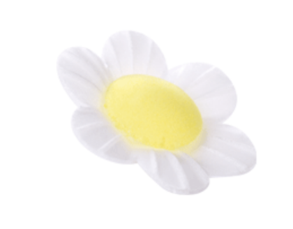 Obrázek WF WHITE MINI ANEMONE D3CM (200ks)