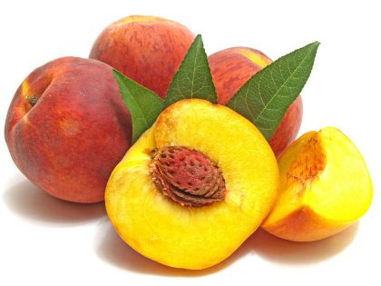 Obrázek PESCA 500 10 x 1,25 kg (obj)