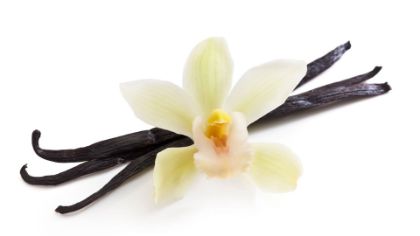 Obrázek MEC SOFT VANILKA s VANILKOVÝM LUSKEM PRO 6 x 2 kg