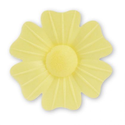 Obrázek ROSEHIP YELLOW WF (5COL) (200ks)