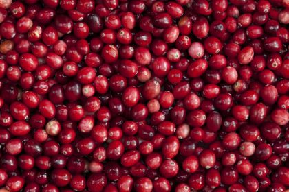 Obrázek FIORDICRANBERRY 2 x 3 kg (obj)