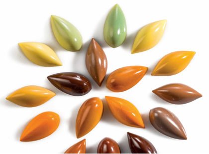 Obrázek CHOCOLOR BROWN 200GR