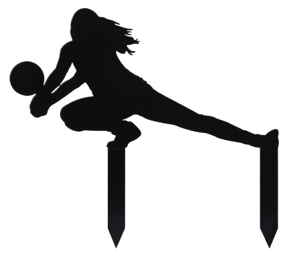 Obrázek WOMAN VELLEY PLAYER MT (4ks)