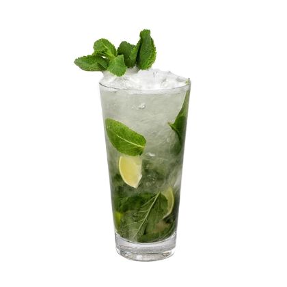 Obrázek GRANITA MOJITO 10 x 1 kg (doprodej->zrušeno)
