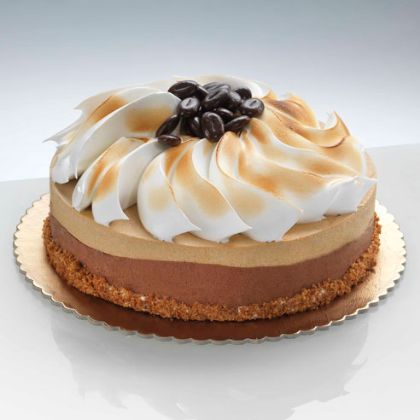 Obrázek ALBUMETTA  8 x 1 kg