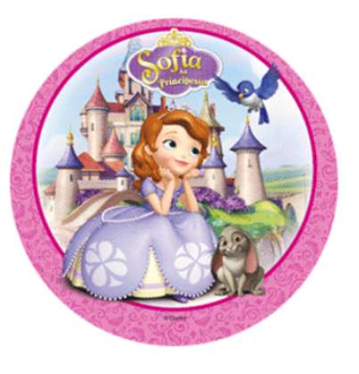 Obrázek WAFER DISCS D21 SOFIA (4MOD) (zrušeno)