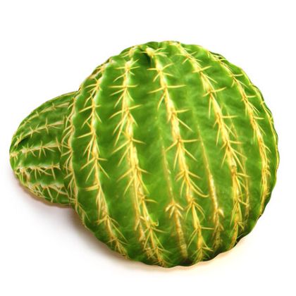 Obrázek MECSORBET KAKTUS 6 x 2 KG