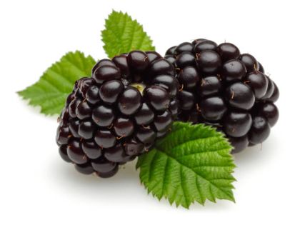 Obrázek MECSORBET OSTRUŽINA 6 x 2 KG