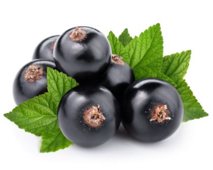 Obrázek RIBES NERO (černý rybíz) 2 x 3 KG
