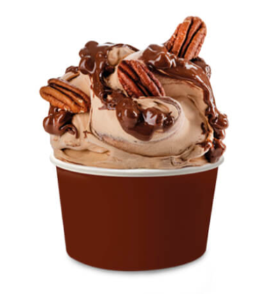 Obrázek VARIEGATO CHOCOPECAN 2 x 4,5 KG
