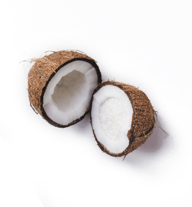 Obrázek COCCO C.P. 500 FAST 10 x 1,25 KG