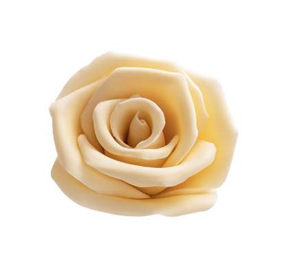 Obrázek ROSES WHITE 60 mm 30 kusů v balení 