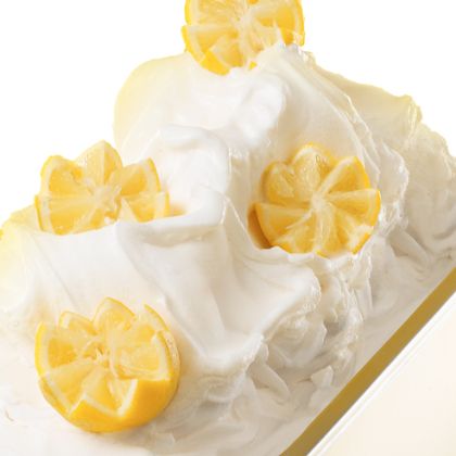 Obrázek LIMONE 500 FAST (citrón)10 x 1,25 KG