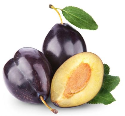 Obrázek PRUGNA (švestka)  2 x 3 KG
