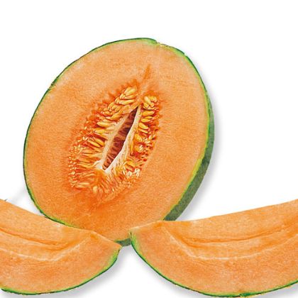 Obrázek MELONE 500 FAST 10 x 1,25 KG