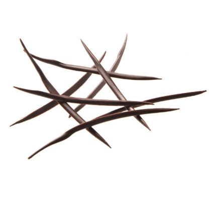 Obrázek BRISTLE - 2,5 kg