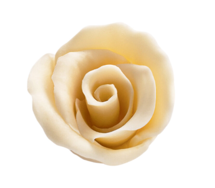 Obrázek ROSES WHITE 40 mm 30 kusů v balení 
