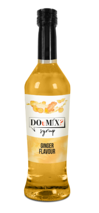 Obrázek SYR-UP GINGER FLAVOUR (zázvor) 6 x 0,7 L